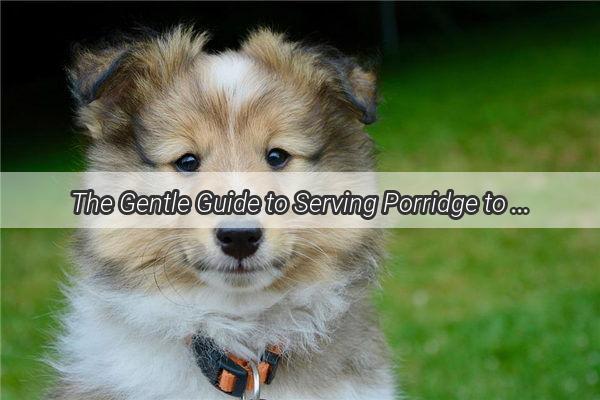 The Gentle Guide to Serving Porridge to Your Furry Friend Can Dogs Eat It and How